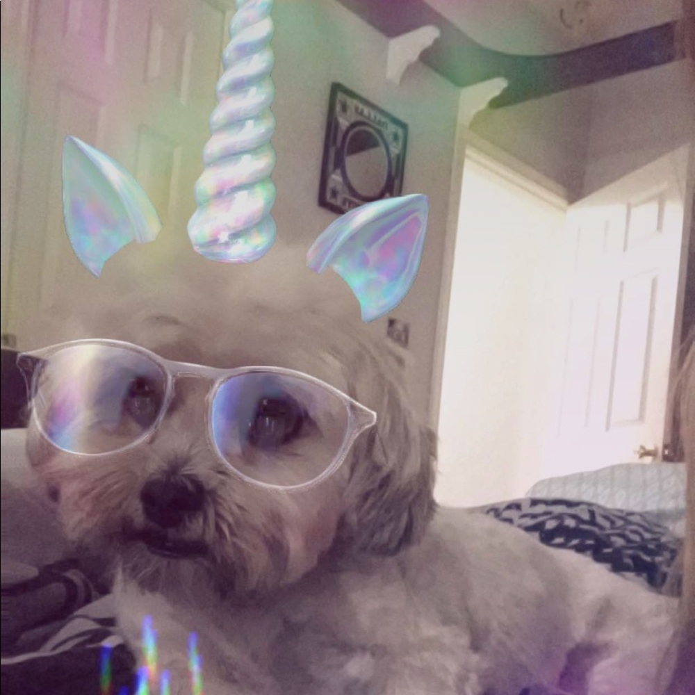 Meet your Posher, Kyra